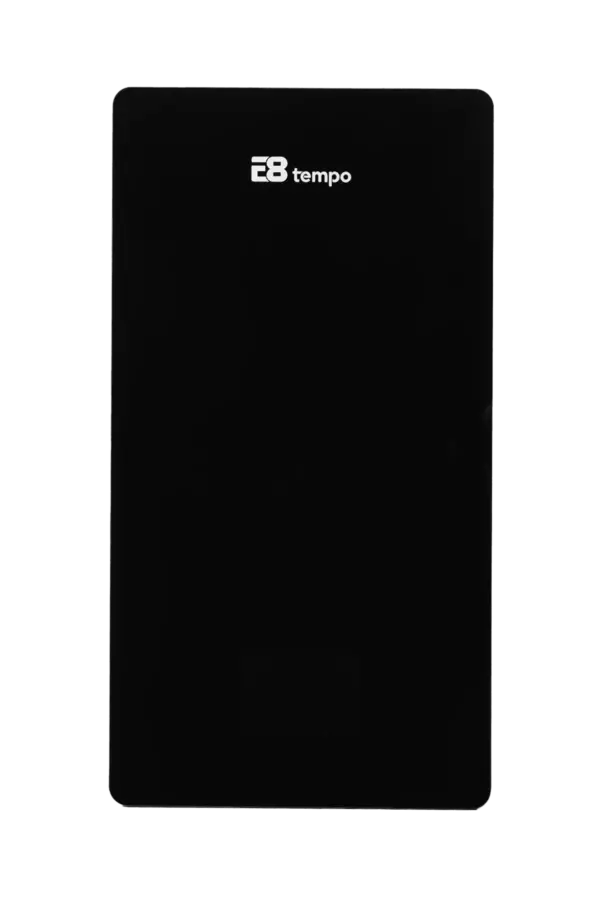 Газовый настенный котел E8 tempo GJA24W