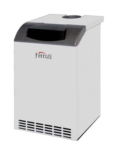 Чугунный газовый котел Ferroli Pegasus D 32